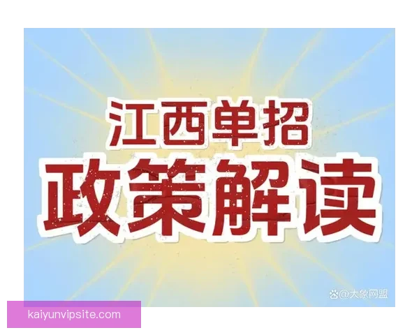 开云体育入口全方位解析助你畅享精彩体育赛事体验